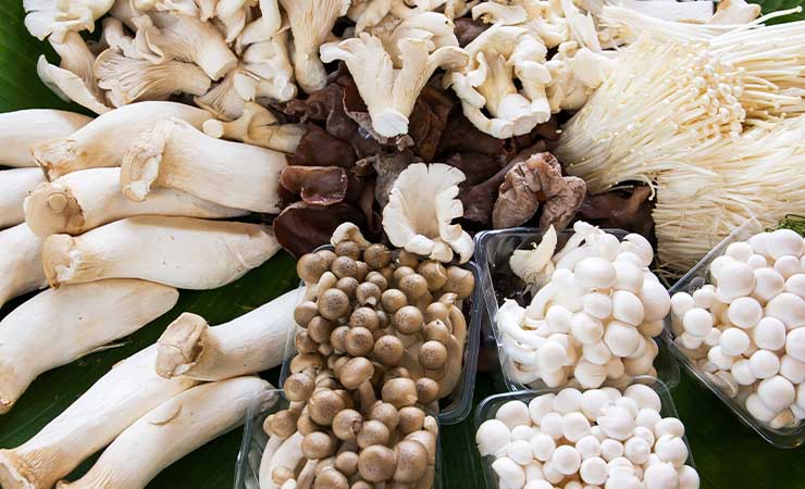 英国超市常见的蘑菇种类