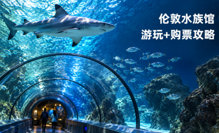 伦敦水族馆游玩攻略 | 门票高达68%OFF！开放时间、参观注意事项等等