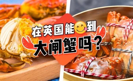 英国能吃到大闸蟹吗？