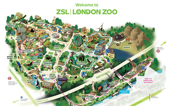 伦敦动物园地图