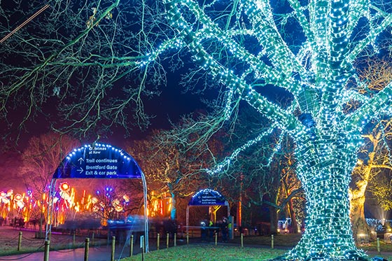 皇家植物园圣诞彩灯