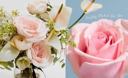 英国哪里可以买玫瑰花？情人节、生日、纪念日送花