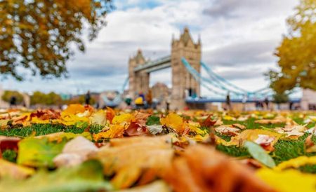 英国秋天旅游度假的好去处盘点 | 峰区爬山、古堡秋游、国家公园赏枫等等