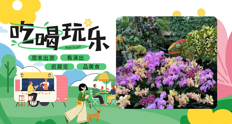 【吃喝玩乐】2025 邱园兰花节：探秘秘鲁风情💐邂逅三千兰卉与奇妙表演🌺