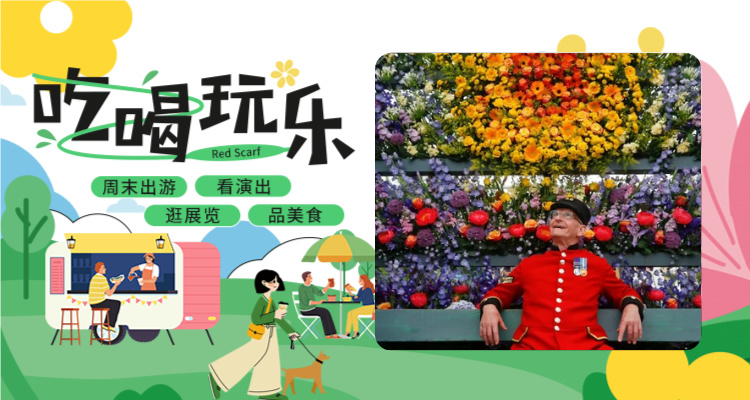 🌿走进园艺界的奥斯卡🌸切尔西花展2025回归啦！绝美花海等你来打卡📸