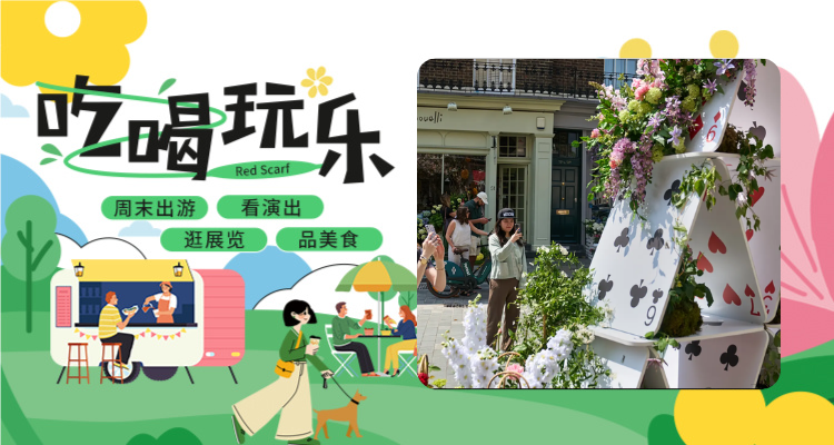 伦敦市中心最美街头花展来了❗Belgravia in Bloom免费开放🌸一秒穿越四季💐