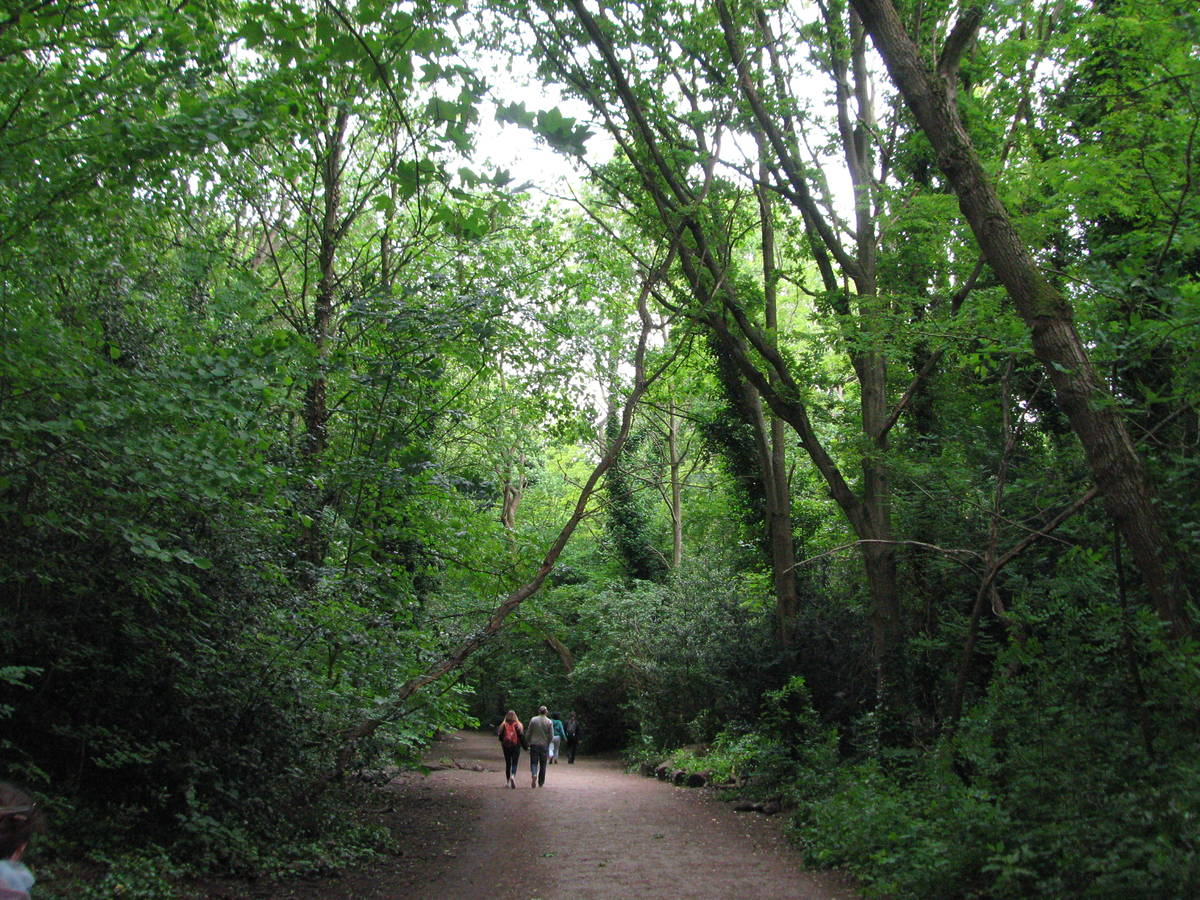 Parkland Walk 铁道绿道自然步道，伦敦来了！穿越森林与历史，开启一场城市里的治愈漫步