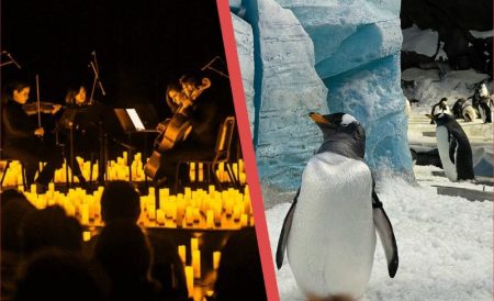 2025年本周必去活动TOP 10 | 绘画下午茶、圣诞城市短途游、烛光音乐会等等