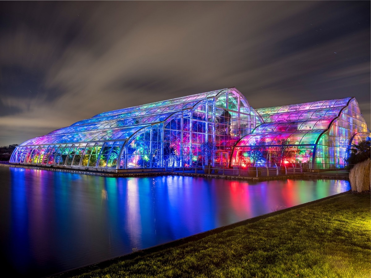 RHS Glow 2025 灯光花园｜伦敦近郊冬夜必打卡！沉浸式梦幻灯海等你来探索