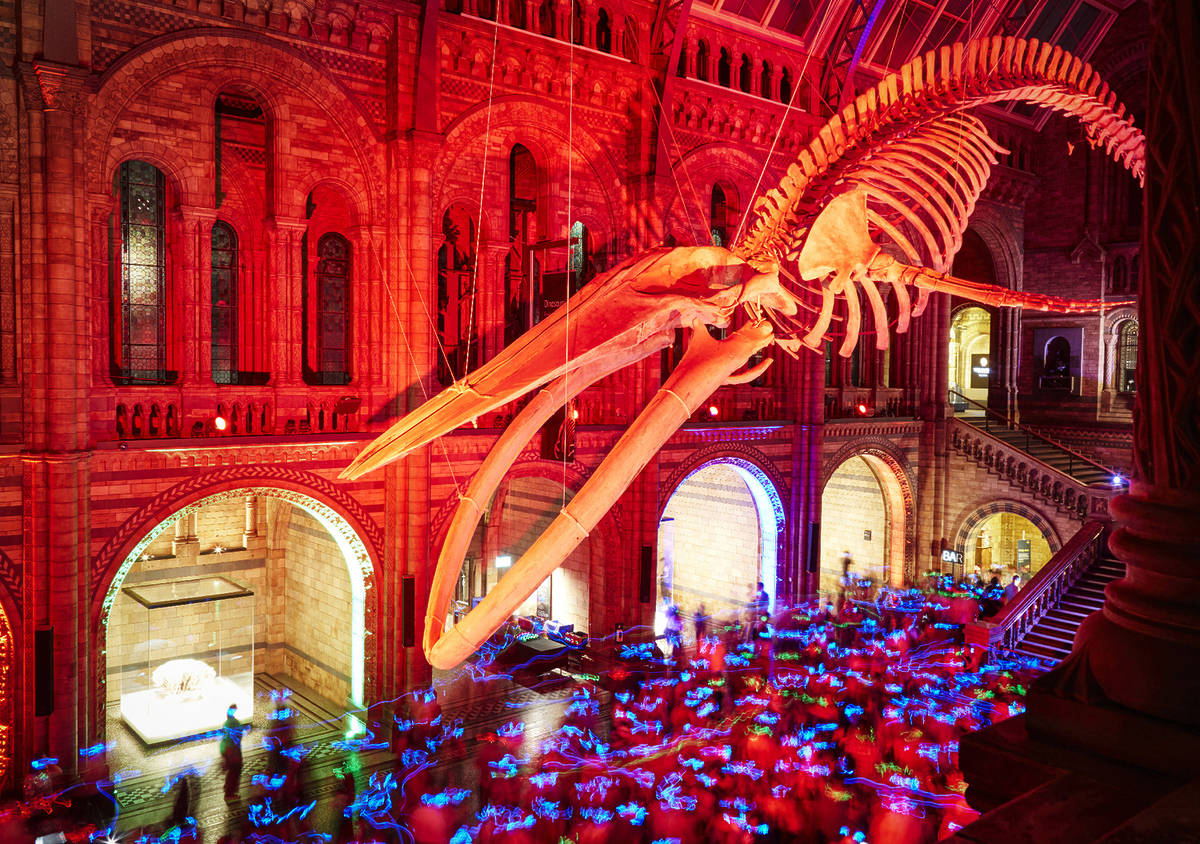 Silent Disco 自然历史博物馆伦敦来了！在恐龙骨架下跳舞，这夜晚绝对难忘！