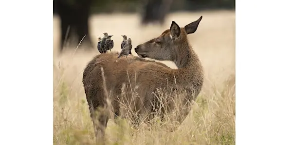 Hampton Hill Photographic Society 2026 展览开放日 London 来了！一起走进本地摄影师的精彩世界，发现生活的美好瞬间