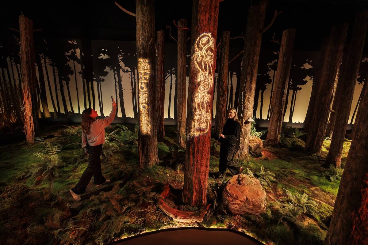 维京人：沉浸式体验展登陆伦敦！穿越千年，亲历女王克拉克的传奇史诗