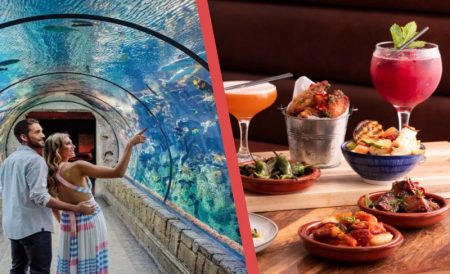 2026年本周必去活动TOP 11 | 伦敦时装周、水族馆联名活动、茶室下午茶等等