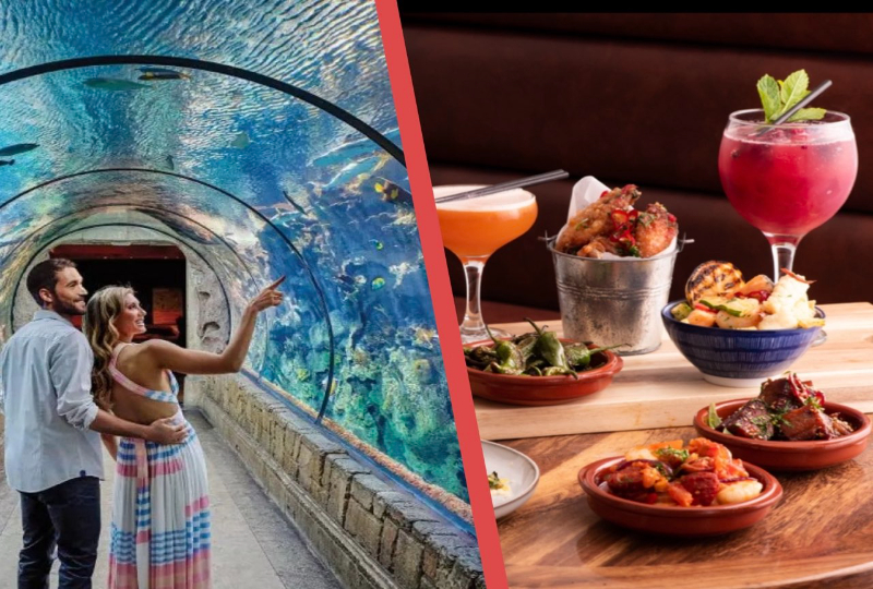 2026年本周必去活动TOP 11 | 伦敦时装周、水族馆联名活动、茶室下午茶等等