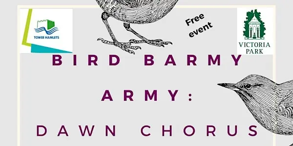 Bird Barmy Army Dawn Chorus 伦敦来了！一起在破晓时分聆听城市鸟鸣交响乐