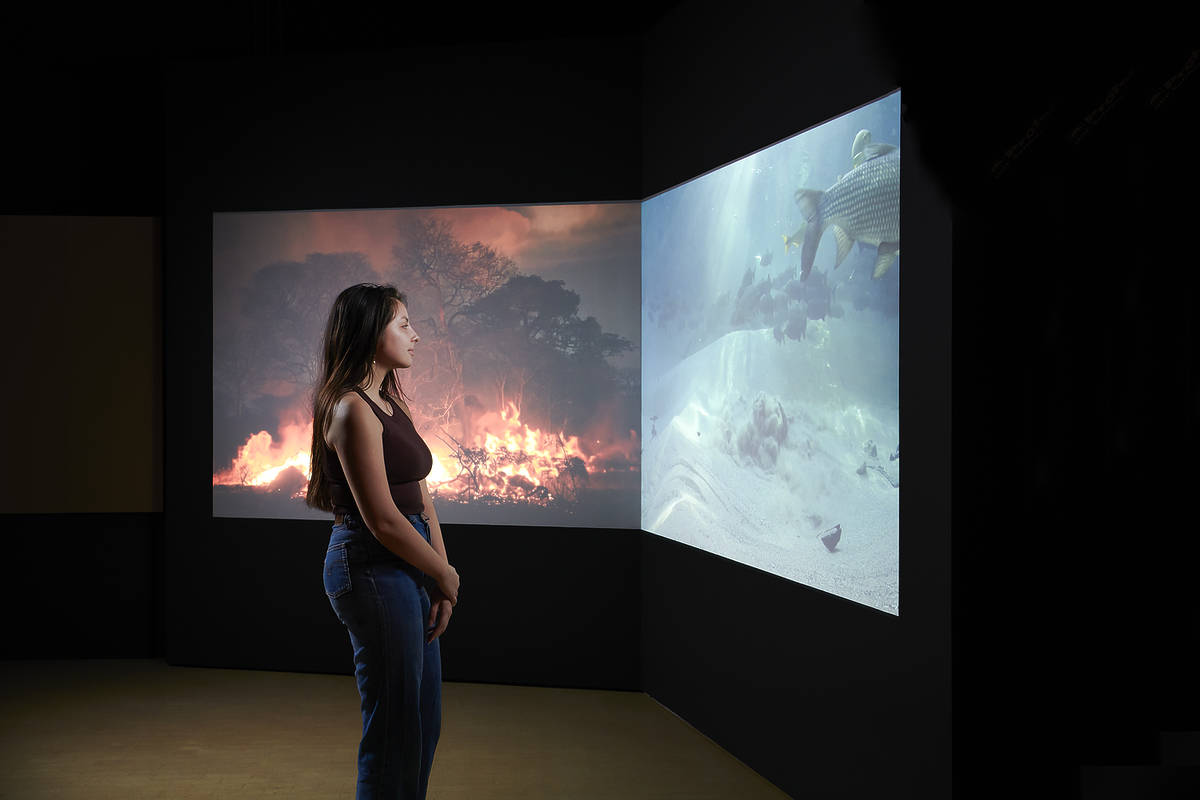 《水、潘塔纳尔、火》摄影展伦敦来了！直面气候变化下世界最大湿地的消失危机