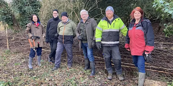 Denham Country Park 实用保护工作坊来了！一起动手，成为公园的守护者