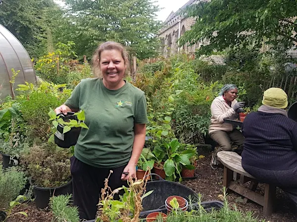 免费植物繁殖工作坊来了！亲手将一株变多株，把绿色带回家