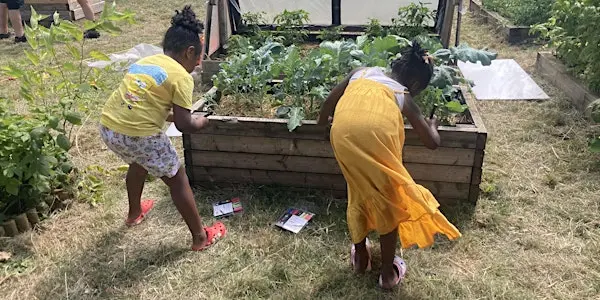 Carpenters Bug Club 伦敦来了！带孩子变身小小昆虫学家，探索公园里的奇妙世界