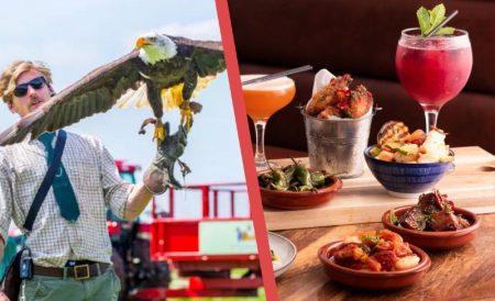 2026年本周必去活动TOP 11 | 老车站下午茶、猎鹰之旅、怪奇物语舞台剧等等