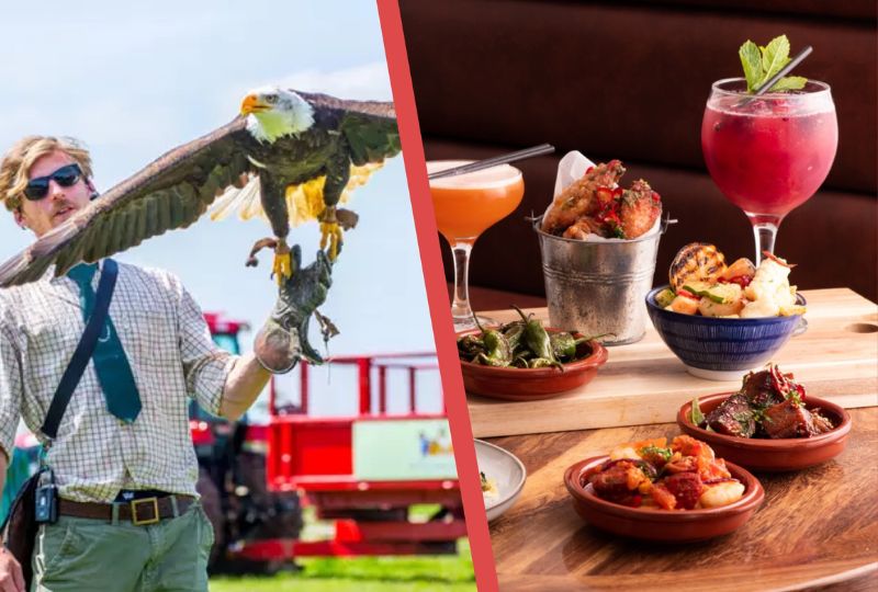 2026年本周必去活动TOP 11 | 老车站下午茶、猎鹰之旅、怪奇物语舞台剧等等