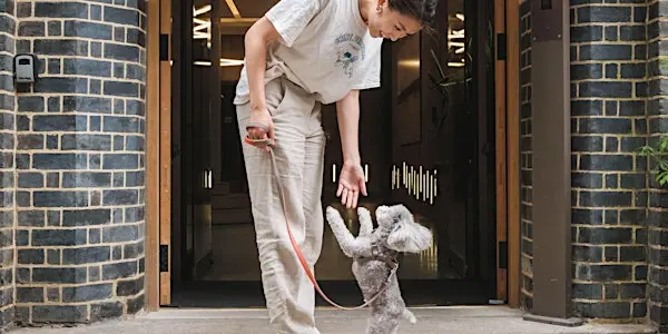 The Paw Club 宠物派对来了！带上爱宠，来伦敦市中心赴一场毛茸茸的周末约会