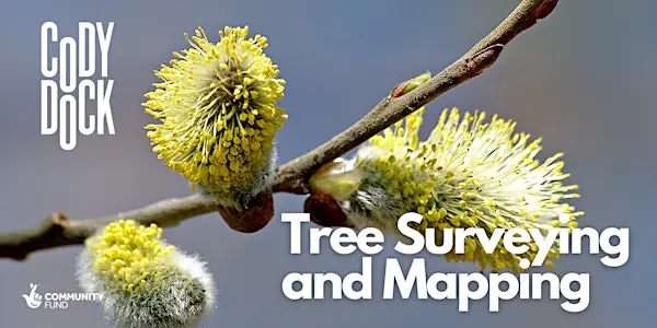 Tree Surveying and Mapping 工作坊｜伦敦来了！在自然中学习新技能，周末一起探索城市绿洲吧！