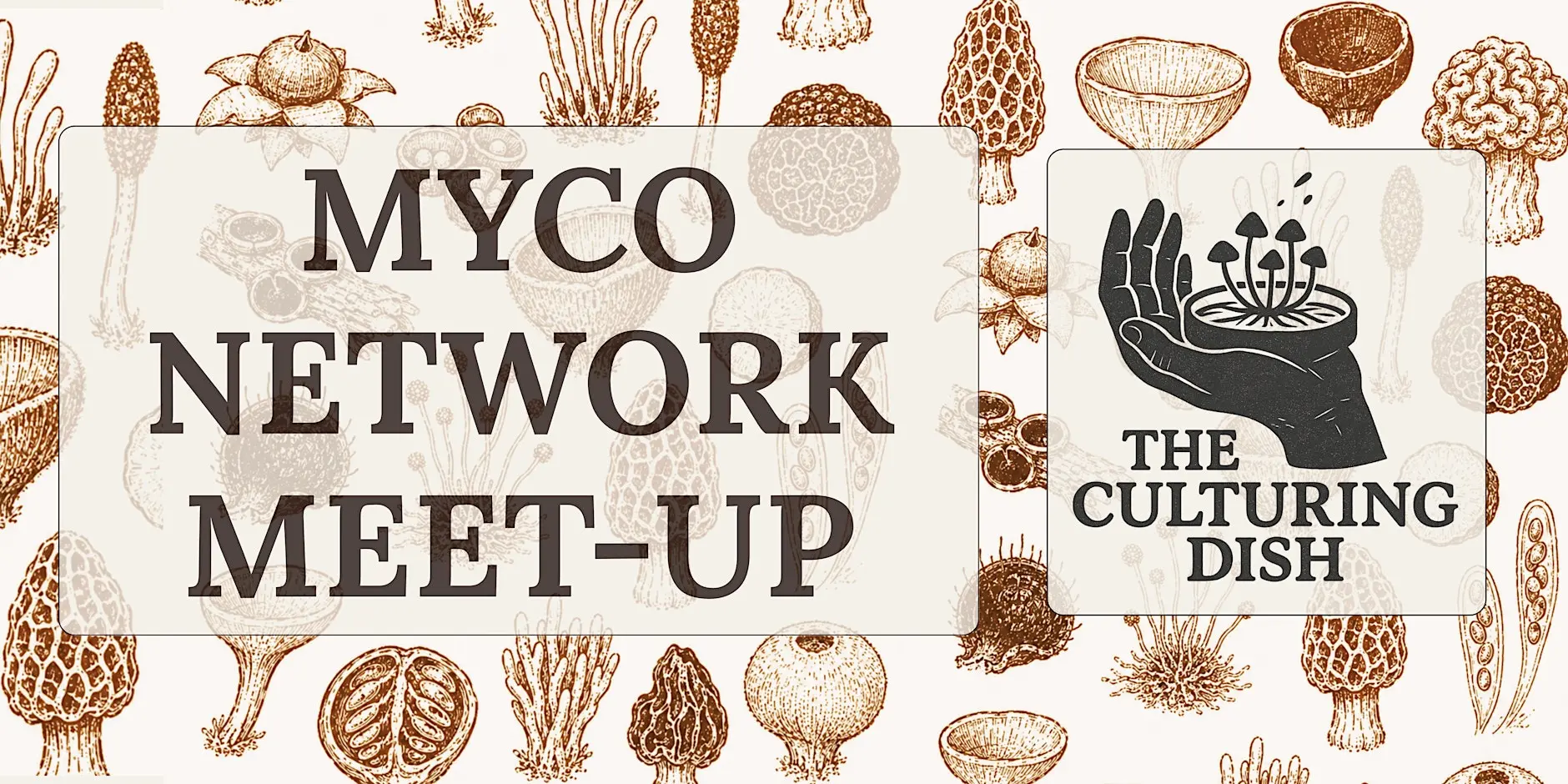 MYCO Network Meet Up London 2 来了！在菌丝体网络中点燃灵感火花