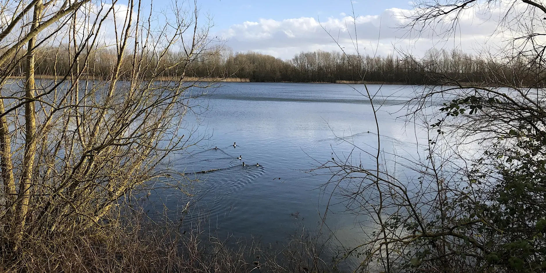 Thorney Park 自然保护志愿者活动来了！一起用双手守护绿色