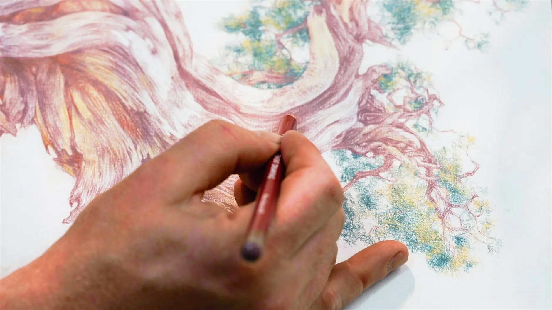 Derwent Drawing 协作绘画体验｜免费画材，人人都是艺术家