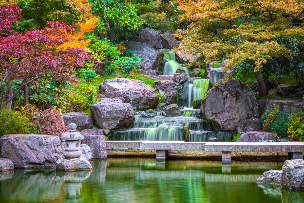 京都花园·伦敦来了！在荷兰公园里邂逅日式瀑布与孔雀