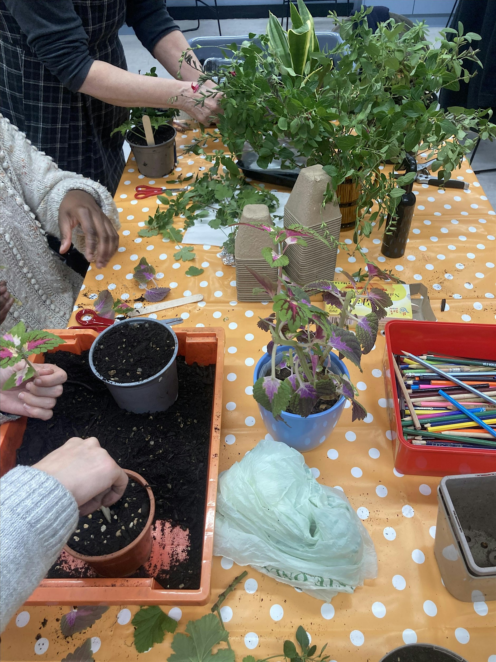 园艺俱乐部 Gardening Club 来了！在植物陪伴下度过治愈时光。