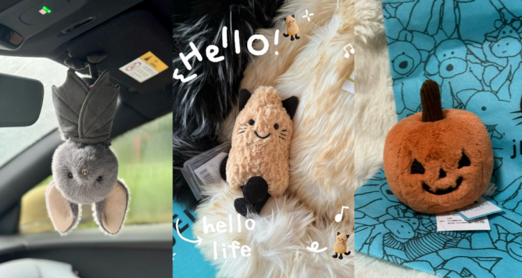全网首发❗比官网还早❓Jellycat万圣节新品!🐱花生猫萌趣回归!小蝙蝠、小狗巫师同步上!