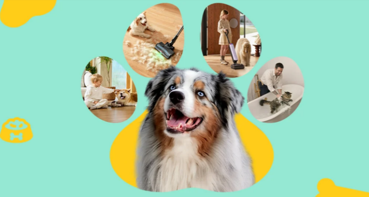 英国养宠家庭看过来🐶Tineco官网宠物日大促48折起🐾PURE ONE S70吸尘器直降£300！