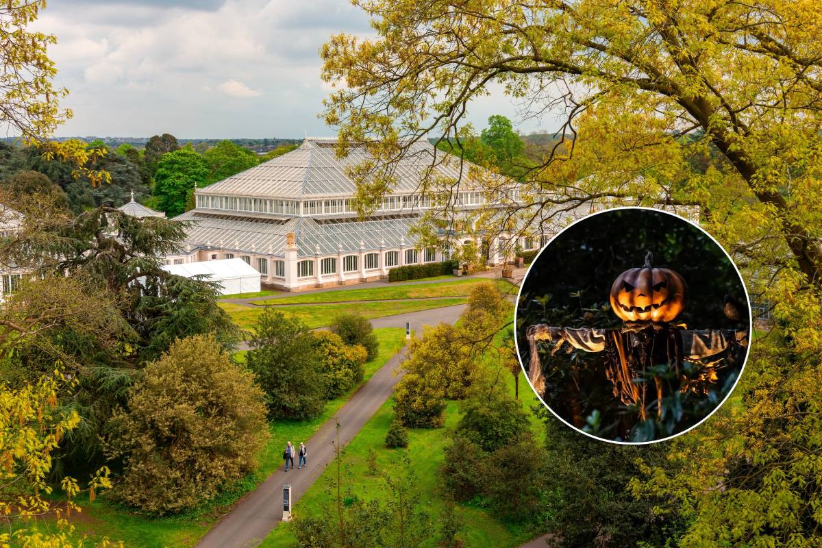 London’s UNESCO World Heritage garden, home to the world’s largest Victorian glasshouse, is turning into a Halloween light wonderland