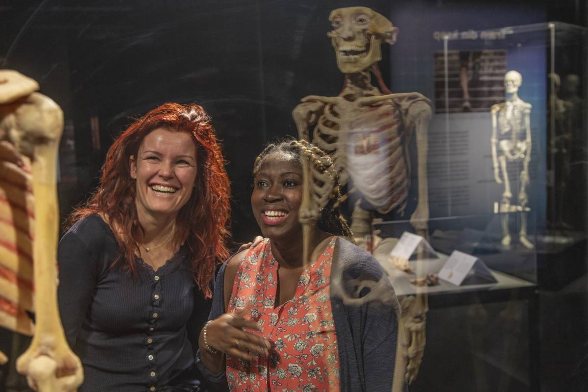 BODY WORLDS: The Anatomy of Happiness：探索幸福与人体解剖学的奇妙联系