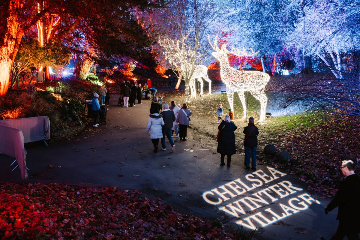 Over 300 years ago, this Chelsea hospital was founded as housing for injured war veterans; this winter it will be taken over by a festive light trail and a charming Christmas market