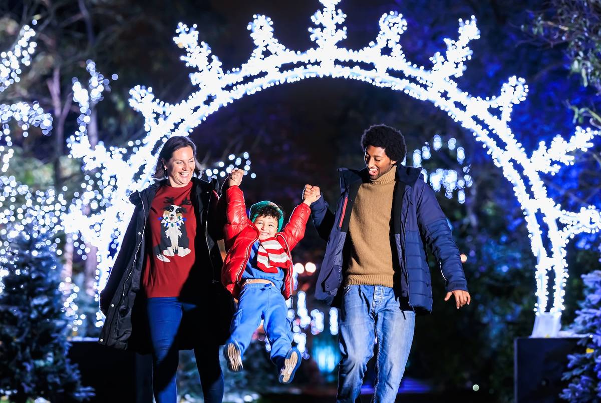 Christmas at Kew 2026：点亮邱园的梦幻光影之旅